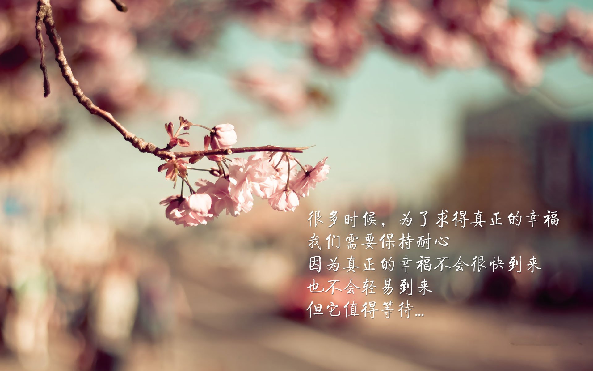 关键封盖：李磊封堵上海队最后一攻，稳住胜局！，李磊 上海