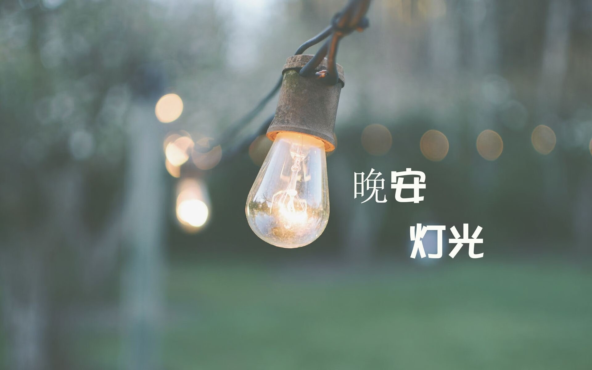 女足世界杯观众参与度创历史新高，女足世界杯关注度