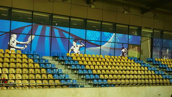 足球世俱杯-高校体育赛事安全管理体系构建，学校体育赛事体系