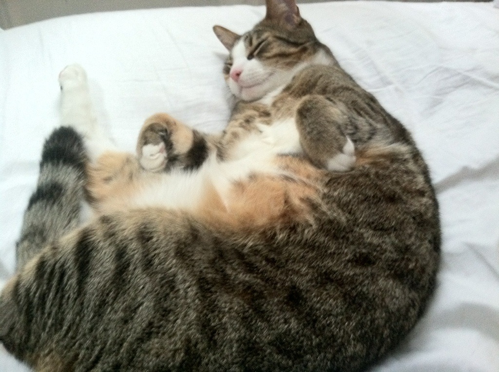 “网球对决:高新体育中心迎来世界顶级选手争霸”