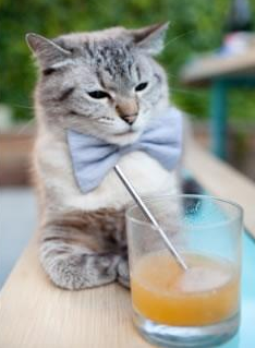 中国女篮赛场表现稳健,中国女篮的赛事