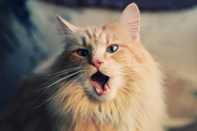 2025世俱杯赛程-俱乐部缺乏复合型足球管理人才，俱乐部缺乏复合型足球管理人才的例子